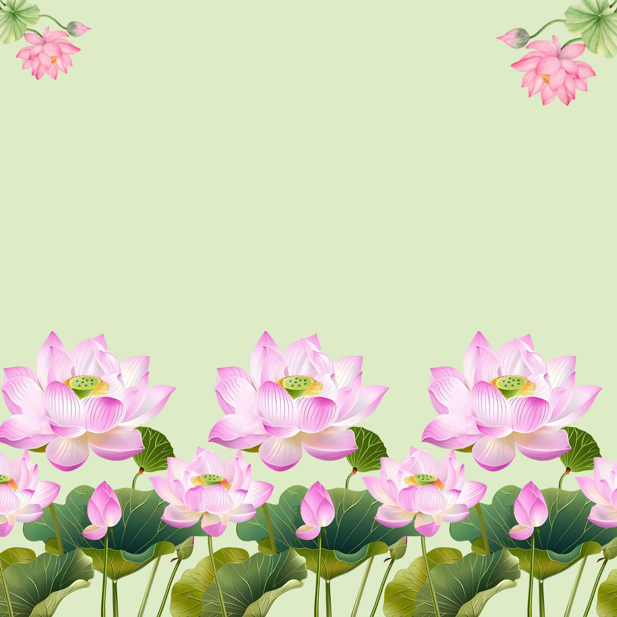 Lotus Bloom Backdrop
