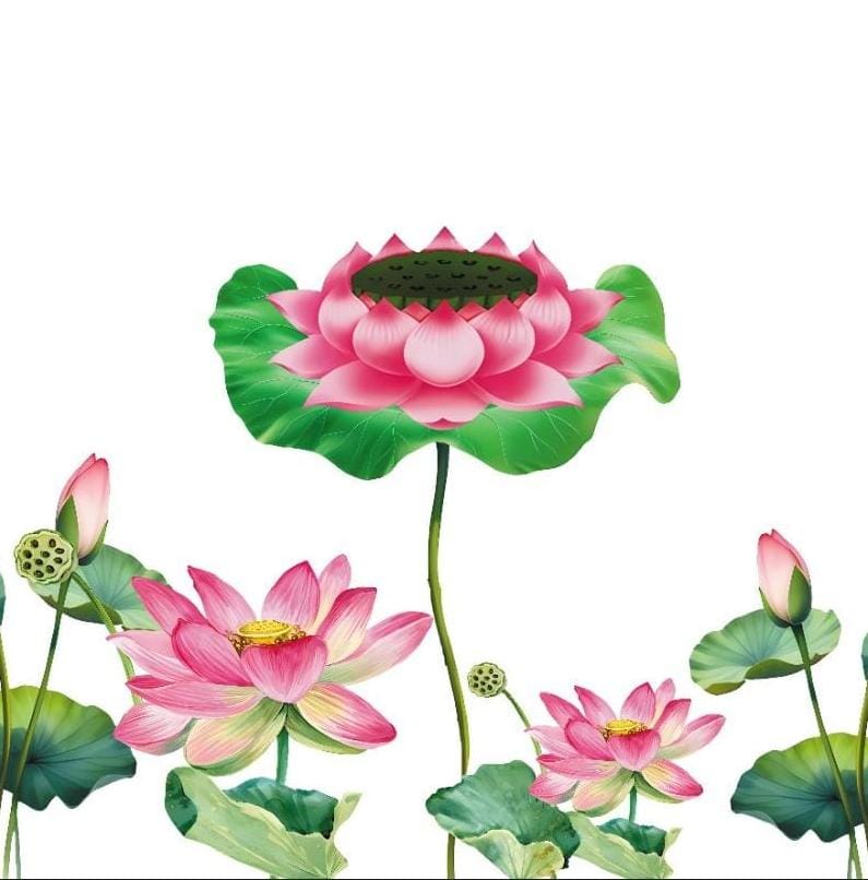 Graceful Blooming Pink Lotus Floral Pichwai Backdrop