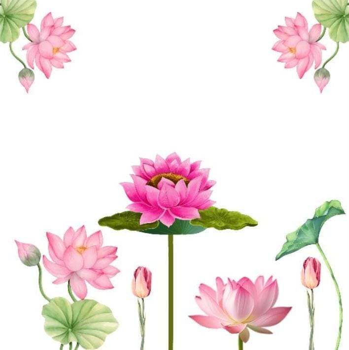 Serene Pink Lotus Watercolor Bloom Backdrop