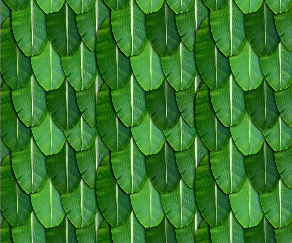 Tropical Banana Leaf Layered Mat backdrop