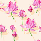 Kamal Backdrop