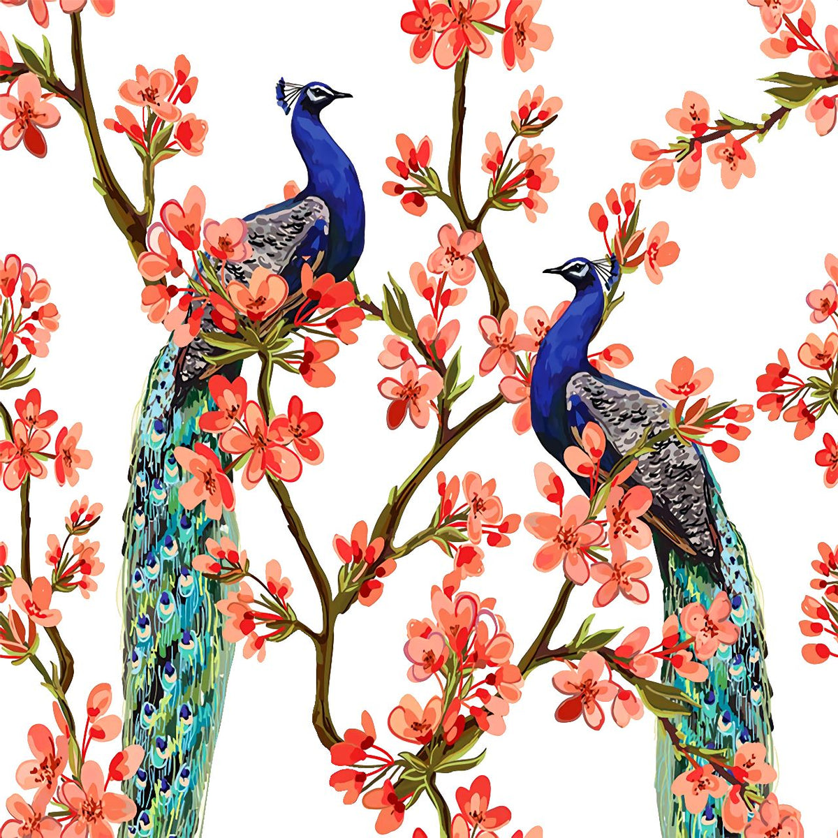Peacock Backdrop