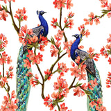 Peacock Backdrop
